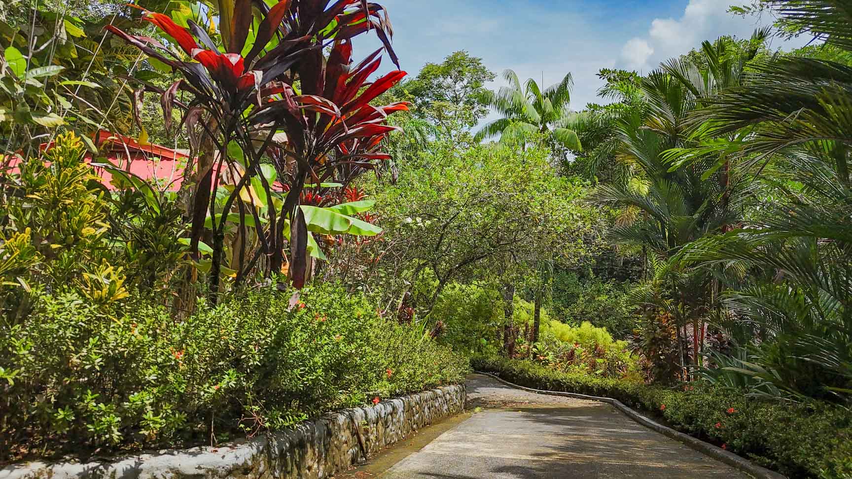 Jungle Sanctuary with Income-Generating Casitas, Creek, Pool & Ultimate Privacy in Ojochal selected