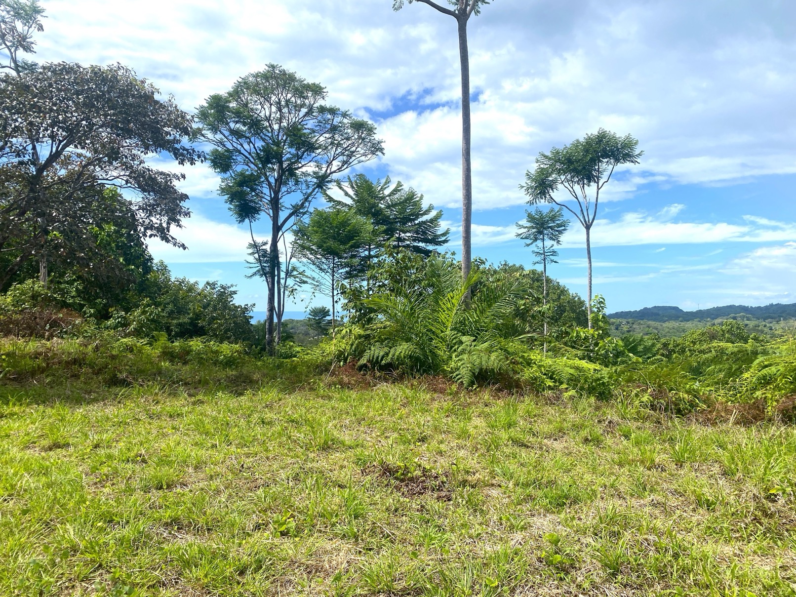 Two Ocean View Properties in Ojochal – 5.33 Acres of Pure Paradise selected