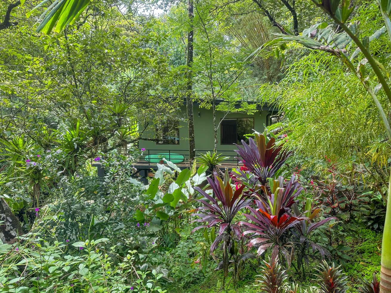 Jungle Sanctuary with Income-Generating Casitas, Creek, Pool & Ultimate Privacy in Ojochal selected