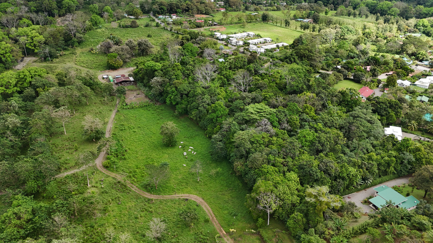 Property for Sale in Ojochal With 2.93 Hectares & Development Potential selected