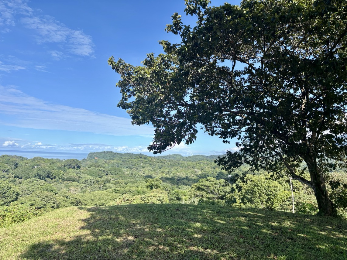 Two Ocean View Properties in Ojochal – 5.33 Acres of Pure Paradise selected