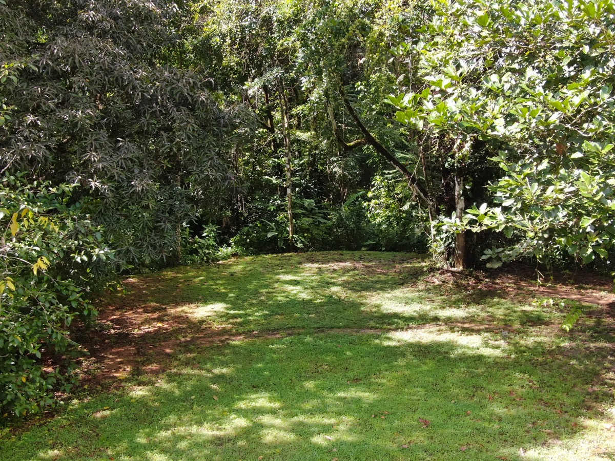 Residential Homesite with Flat Building Areas & Prime Access Near Uvita selected