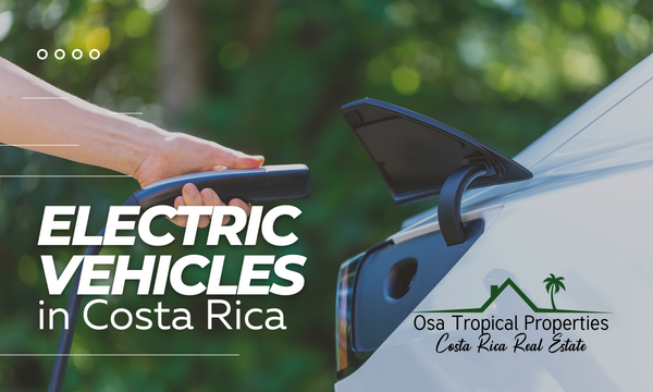 Electric Cars In Costa Rica In 2023 (Tax Exemptions and Duty-Free Imports)