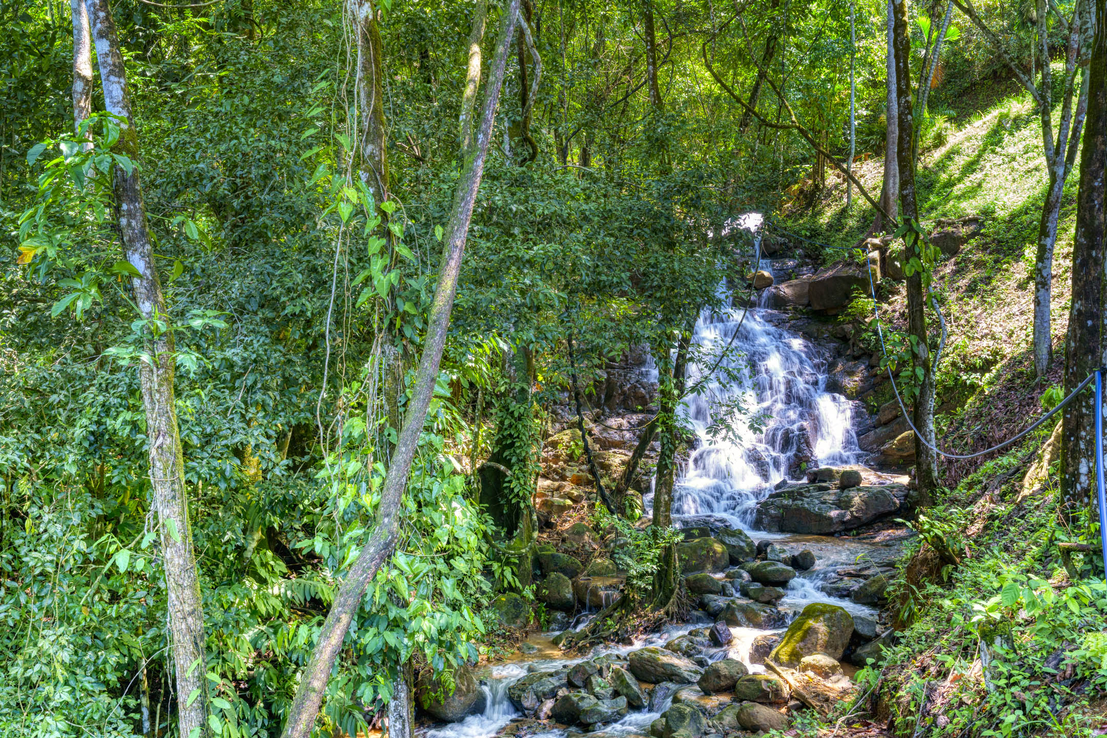 26 Acres With Ocean, Mountain & Waterfall View In Platanillo selected