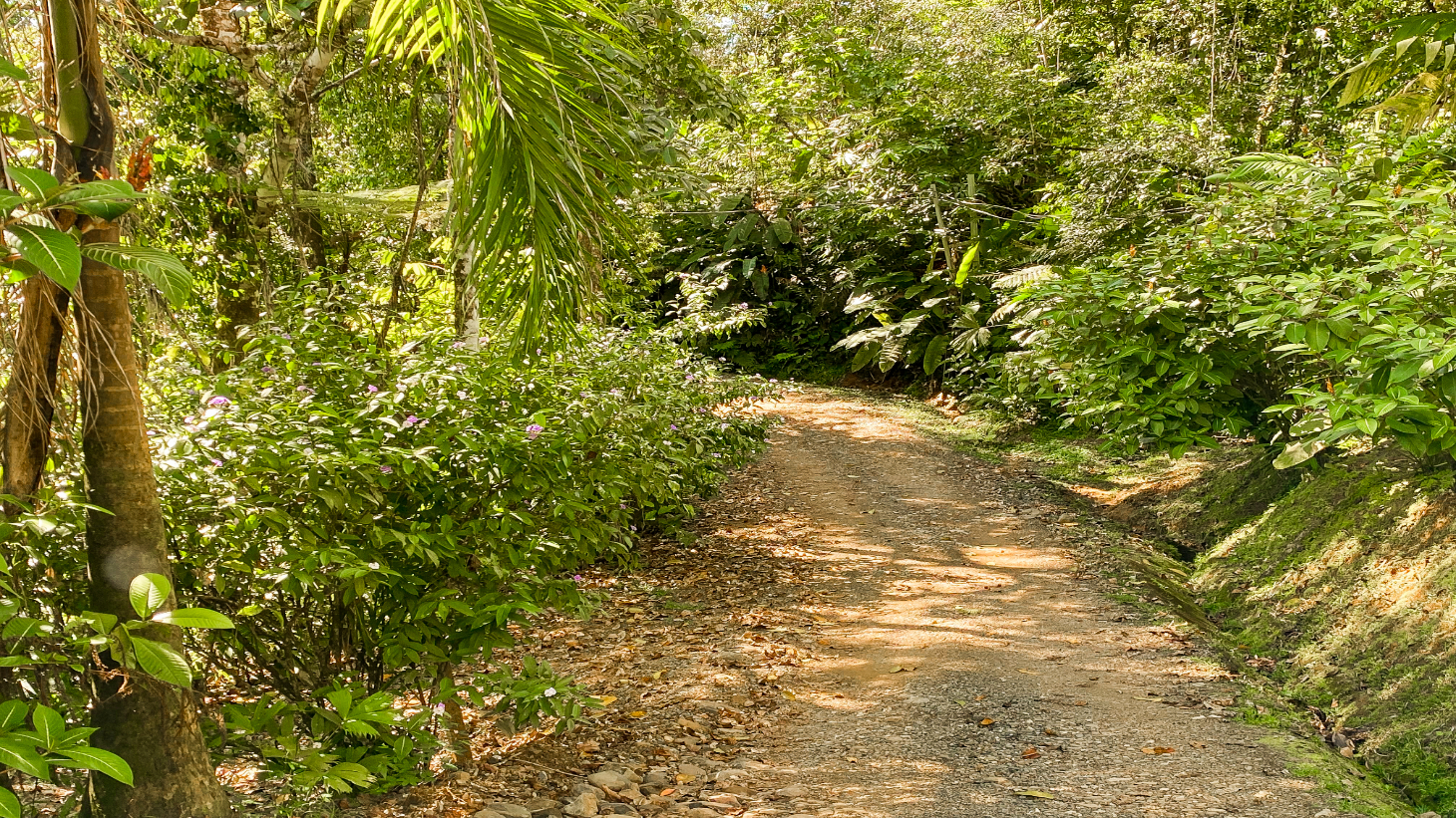 3 Bedroom Rainforest Home in Ojochal With River & Waterfall | 3.5 Acres Private selected