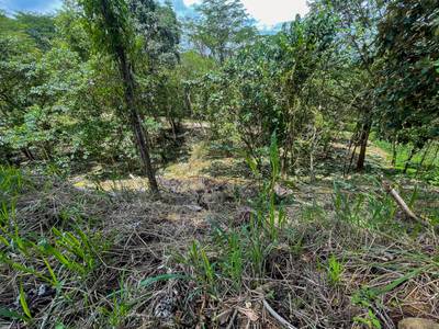 Your Private Mountain Sanctuary Awaits image 3