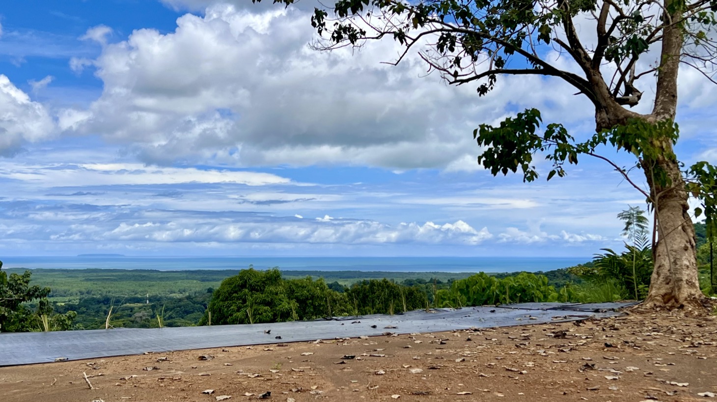 Brand New Modern Ocean View Home With Big Opportunity Near Ojochal selected