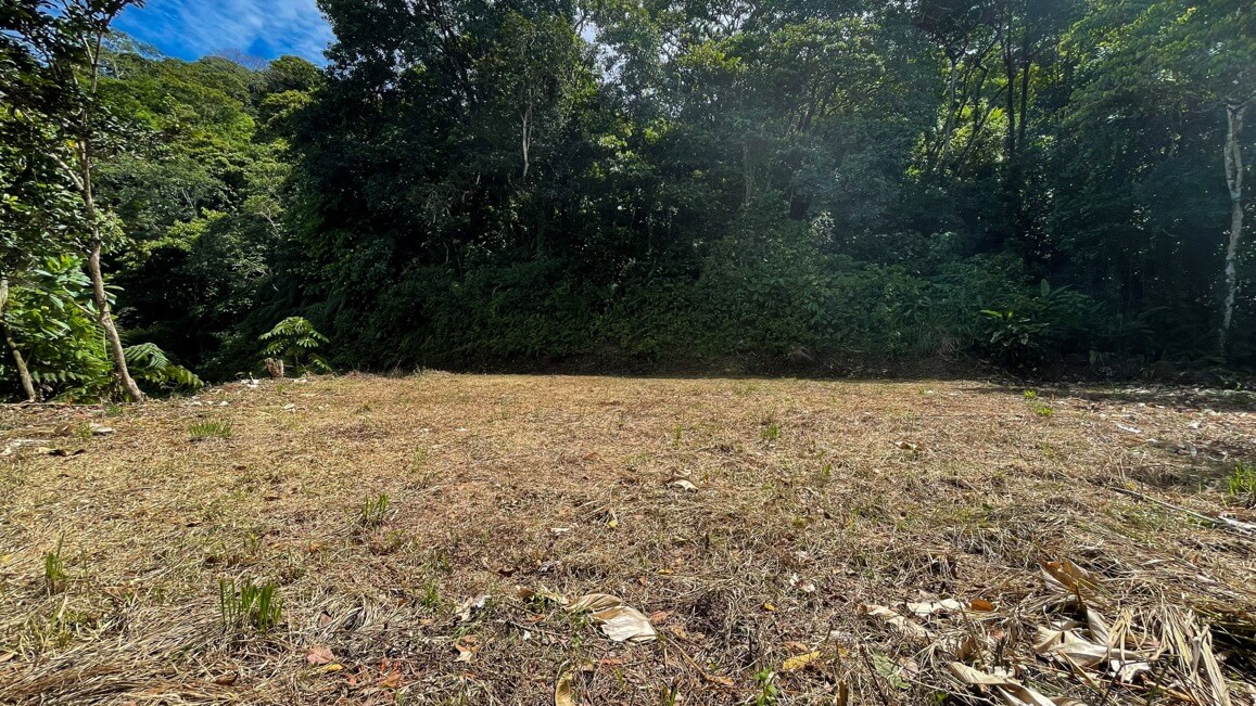 Whale's Tail and Ocean View lot for Sale in Costa Verde, Escaleras, Costa Rica selected