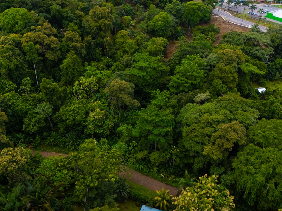 14.2 Acre Prime Commercial Property in Uvita – Highway Frontage and Unlimited Potential selected