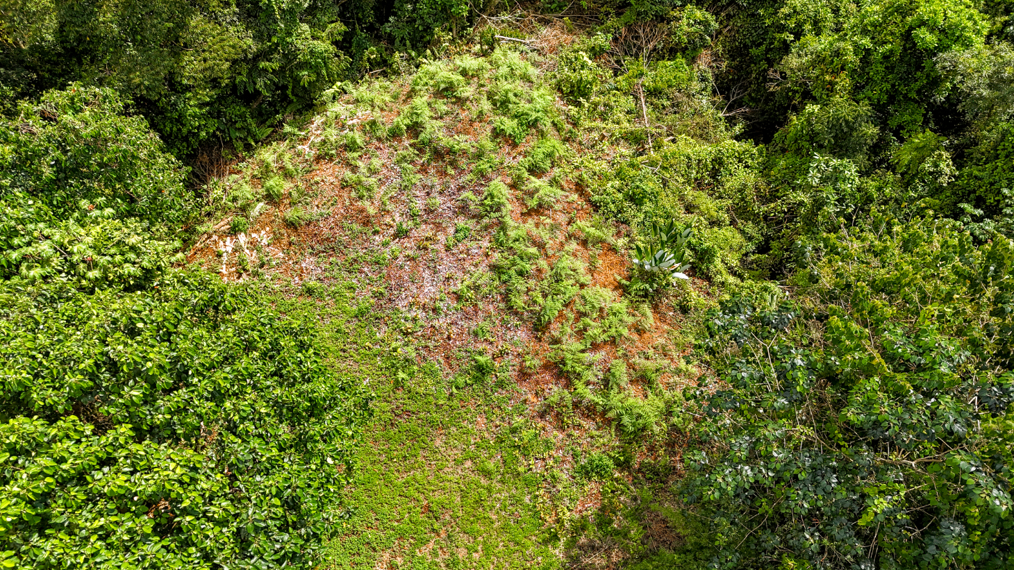 Jungle Lot for Sale in Ojochal With River & Waterfall selected