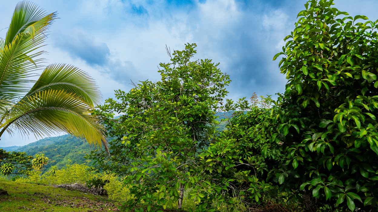 Ocean View Development Property with Waterfall Vista — 14.83 Acres in San Luis de Morete, Near Uvita selected