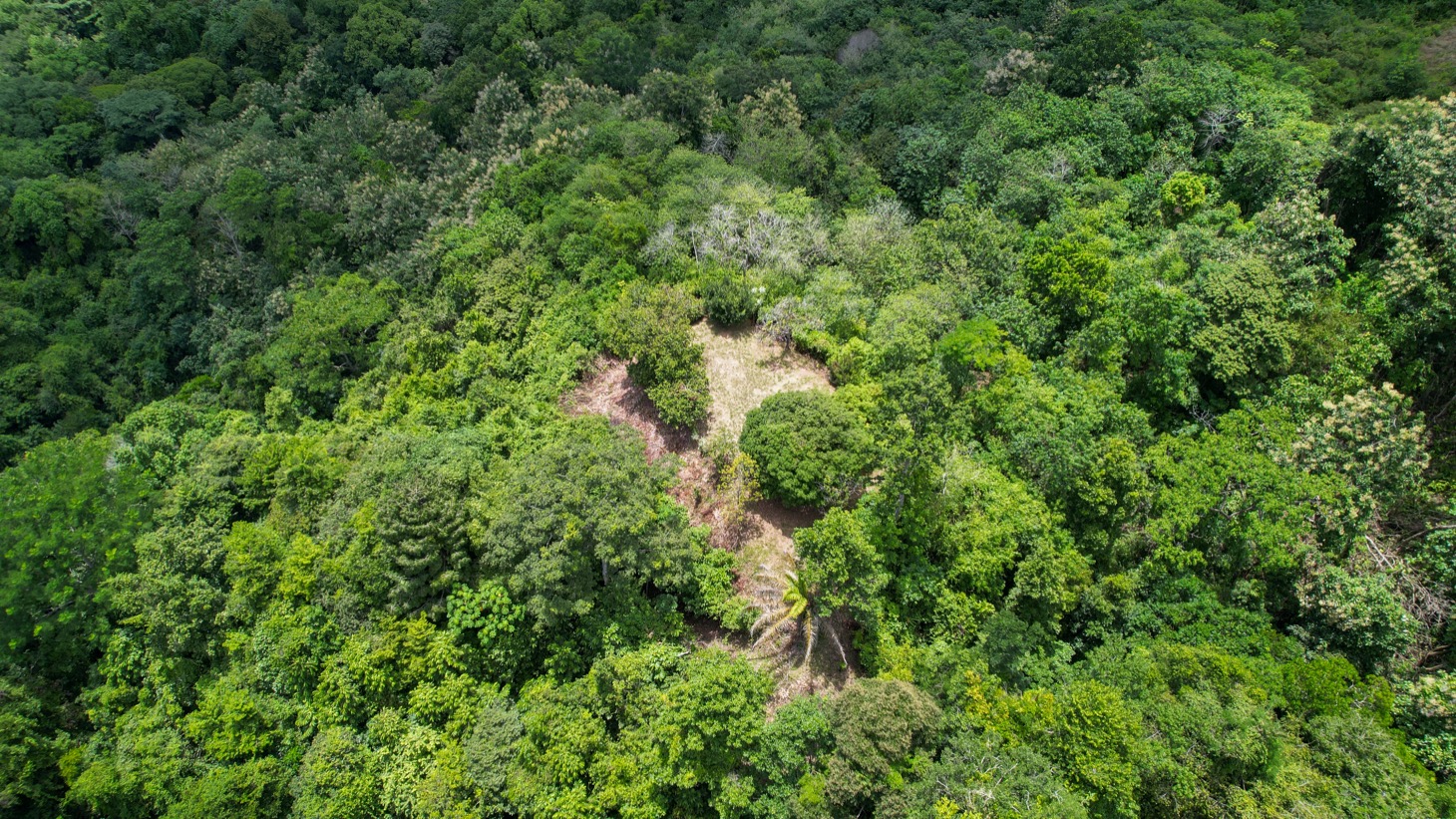 Stunning 16 acre Ocean View Property San Buenas, Costa Rica  selected