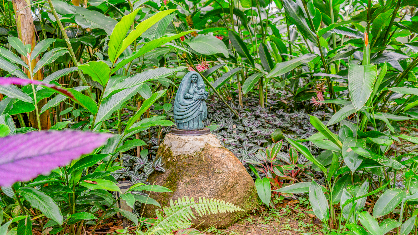 Tropical 4-Bedroom Home for Sale in Uvita | Pool & Airbnb Income selected