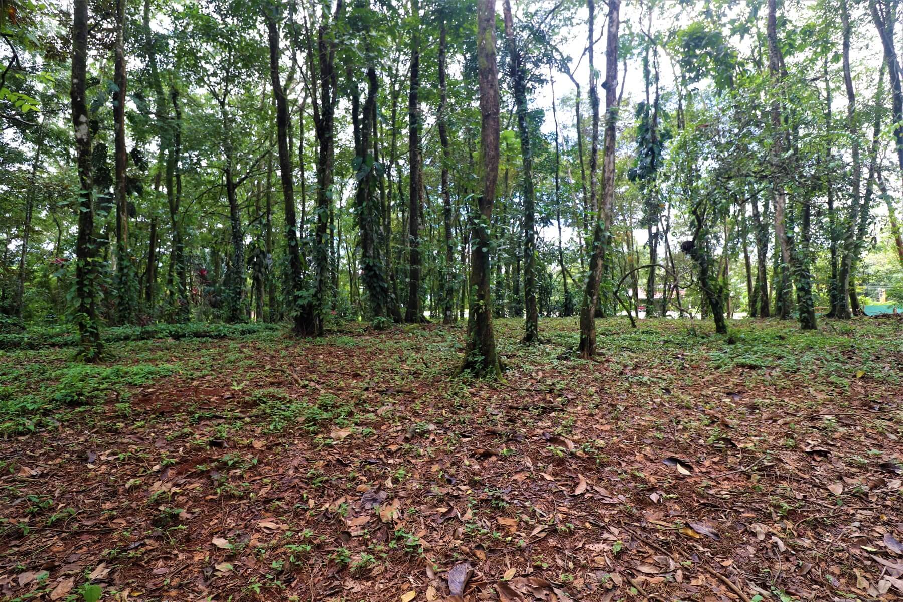 Prime Commercial Property In Uvita selected