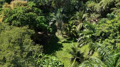 Rare Beachfront Lot Privately Located in Ballena Beach image 4