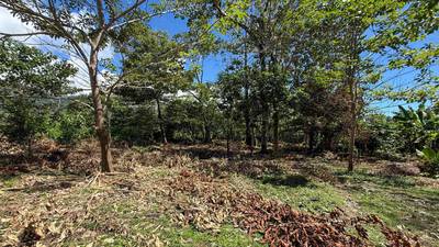 Easy-Access Building lot with Paved Road Access & All Utilities Available on a Flat Half-Acre in Ojochal Costa Rica image 3
