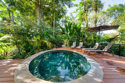 Turnkey Jungle-to-Ocean Investment with Proven Vacation Rental Performance image 5