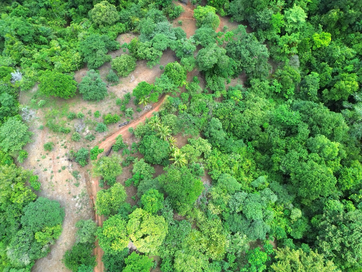 Expansive Ocean View Farm Near Playa Linda – Prime Development Opportunity with Year-Round Sunsets selected