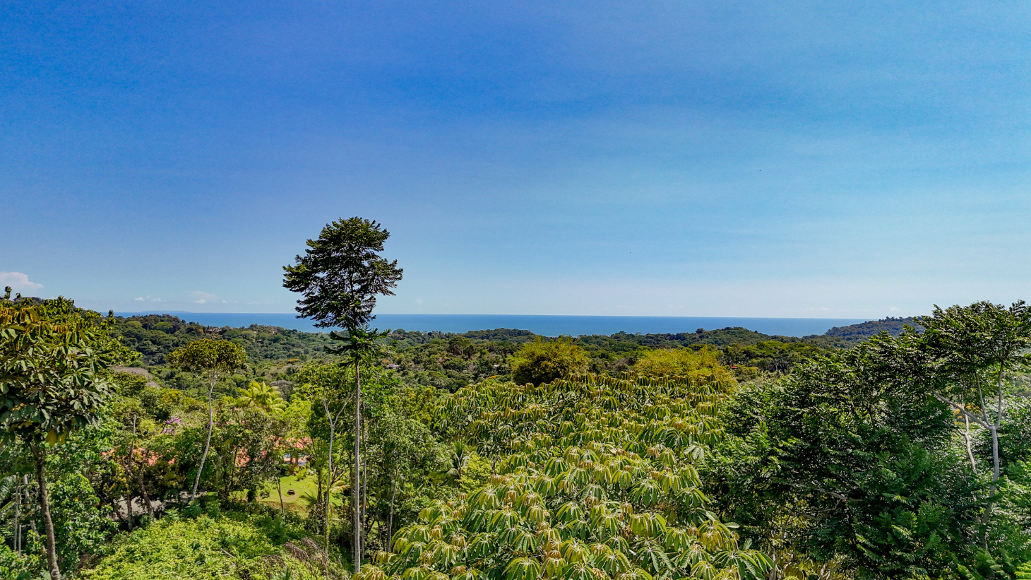 5.75 Acre Land for Sale in Ojochal | Ocean View Development Property selected