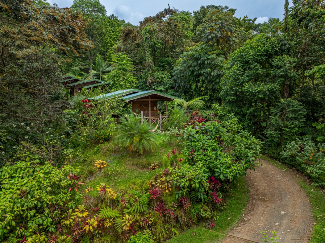 Charming Boutique Hotel with Ocean & Jungle Views in Uvita selected