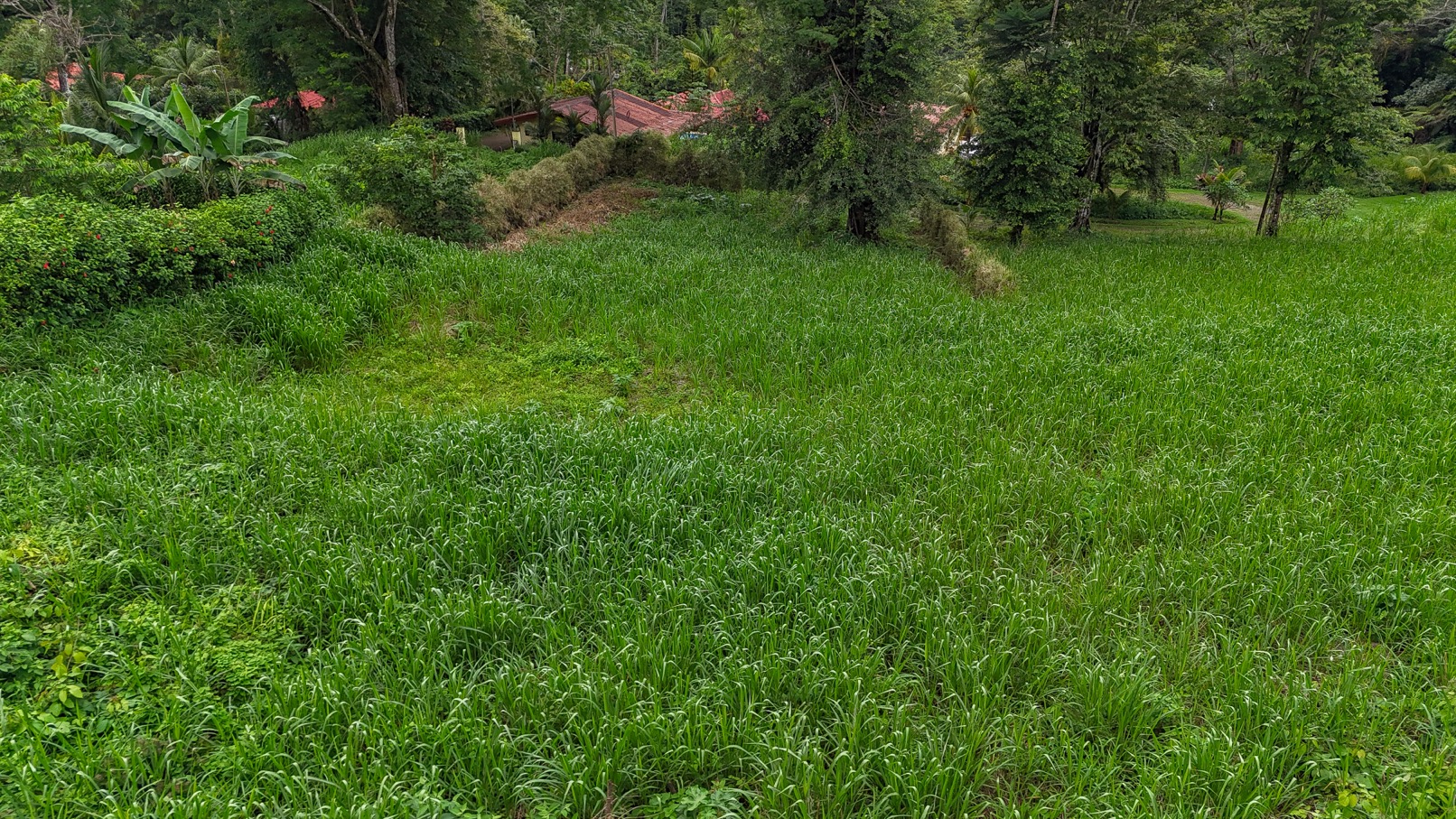 Beautiful Lot in Gated Community with Nearby Creek and Jungle-Covered Valley selected