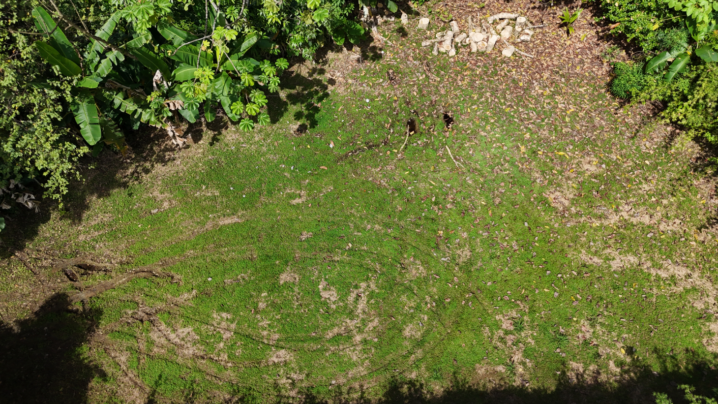 Build-Ready Ojochal Lot with Legal Water, Power & Private Setting selected