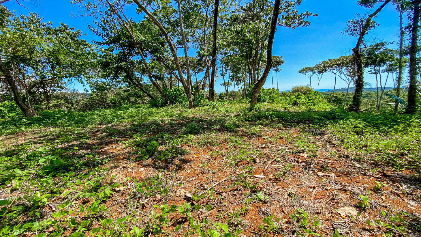 5.75 Acre Land for Sale in Ojochal | Ocean View Development Property selected