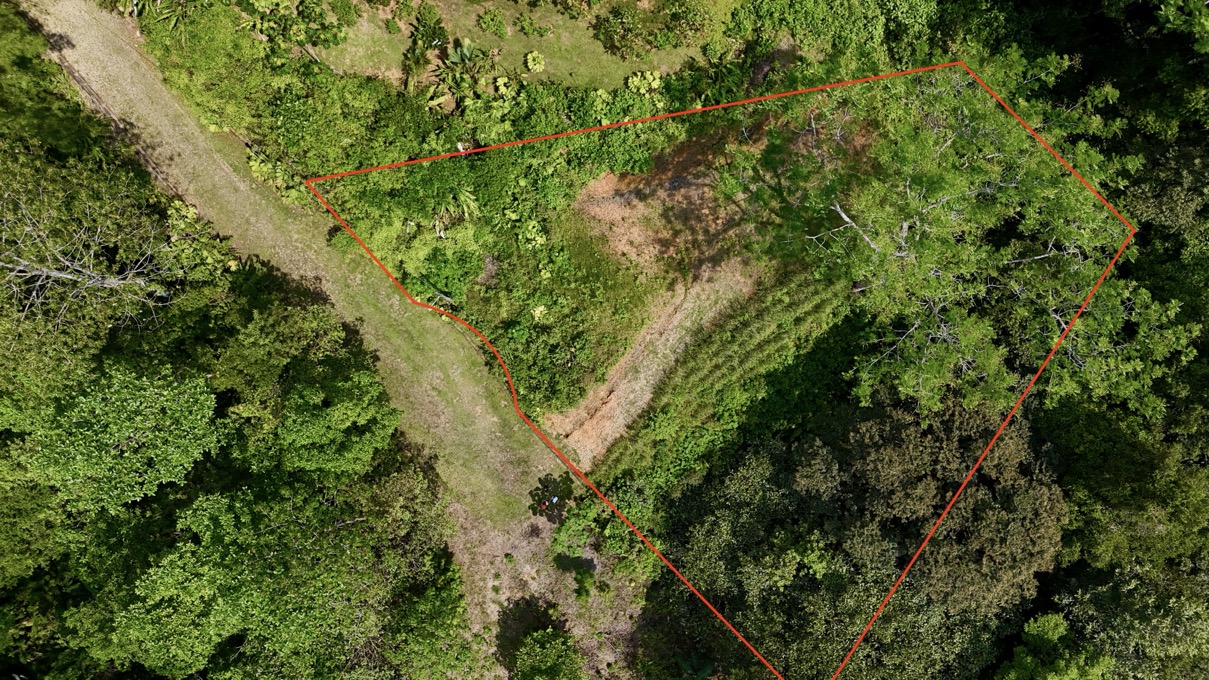 Affordable Jungle Lot in Gated Phase 9 Ojochal with Legal Water selected