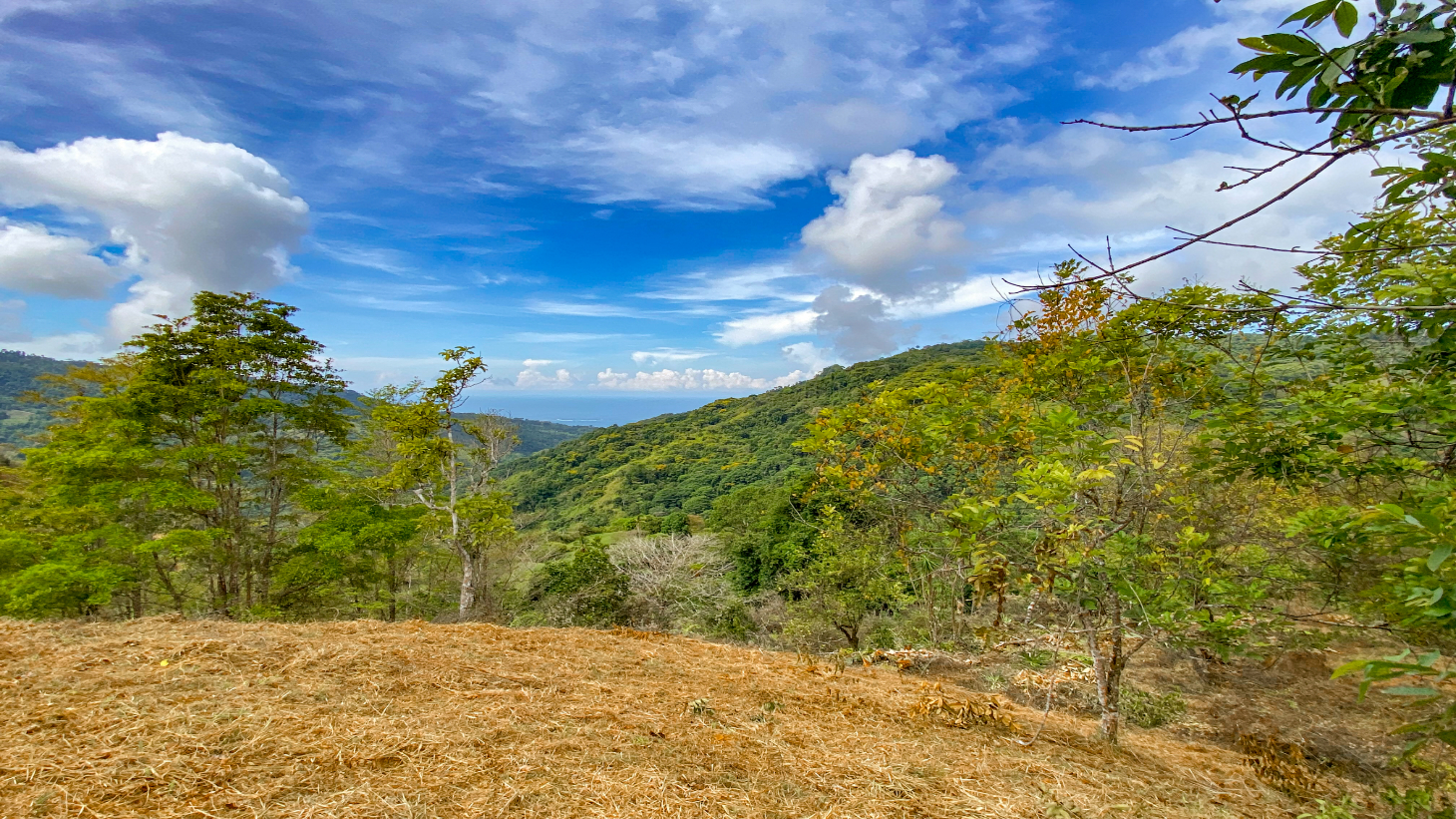 1.5 Acre Ocean & Mountain View Lot Near Uvita | Legal Water & Privacy selected