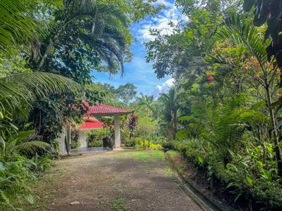 Jungle Sanctuary with Income-Generating Casitas, Creek, Pool & Ultimate Privacy in Ojochal image 5