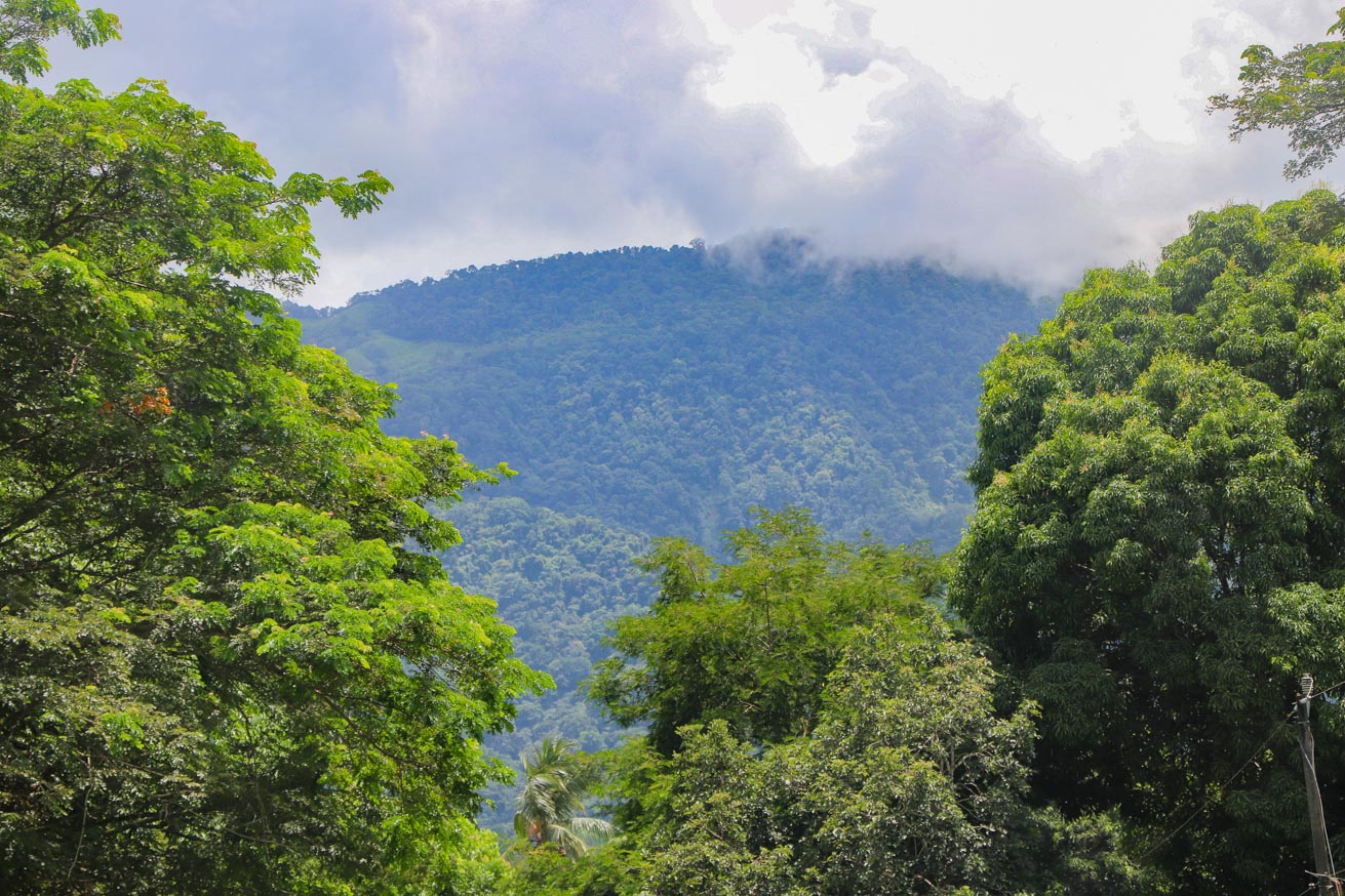 3.7-Acre Airport-Adjacent Property with Direct Runway Access, Prime Zoning, and Mountain Views selected