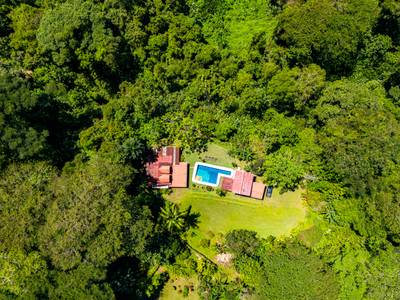 Exquisite Costa Rican Jungle Estate with Panoramic Ocean Views image 3