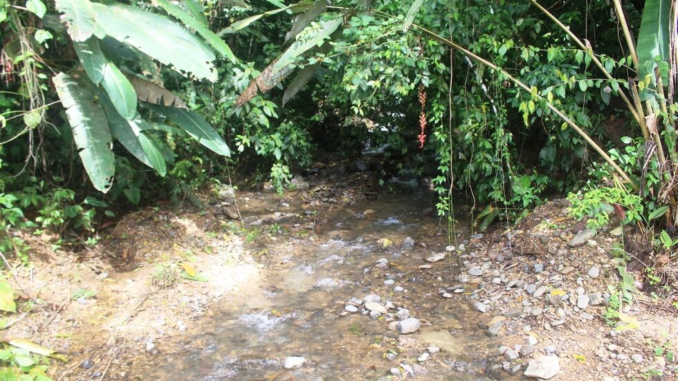 Beautiful 72 Acre Farm In Uvita With Waterfalls And Ocean Views selected