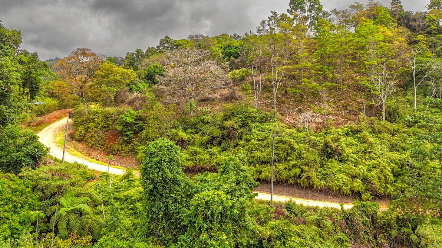 1.5 Acre Ocean & Mountain View Lot Near Uvita | Legal Water & Privacy selected