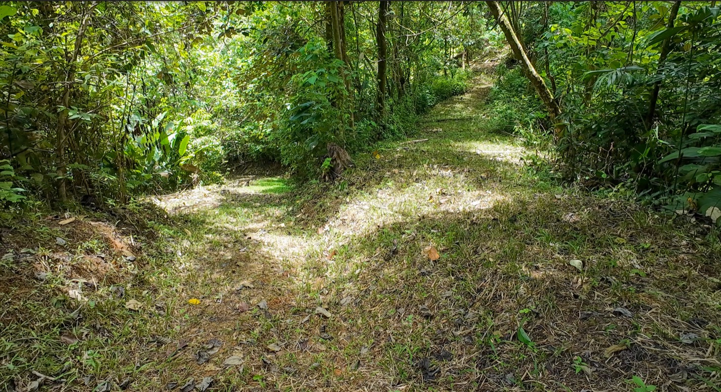 Stunning 16 acre Ocean View Property San Buenas, Costa Rica  selected