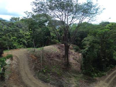 Private Jungle Sanctuary Land For Sale in Uvita, Costa Rica image 1