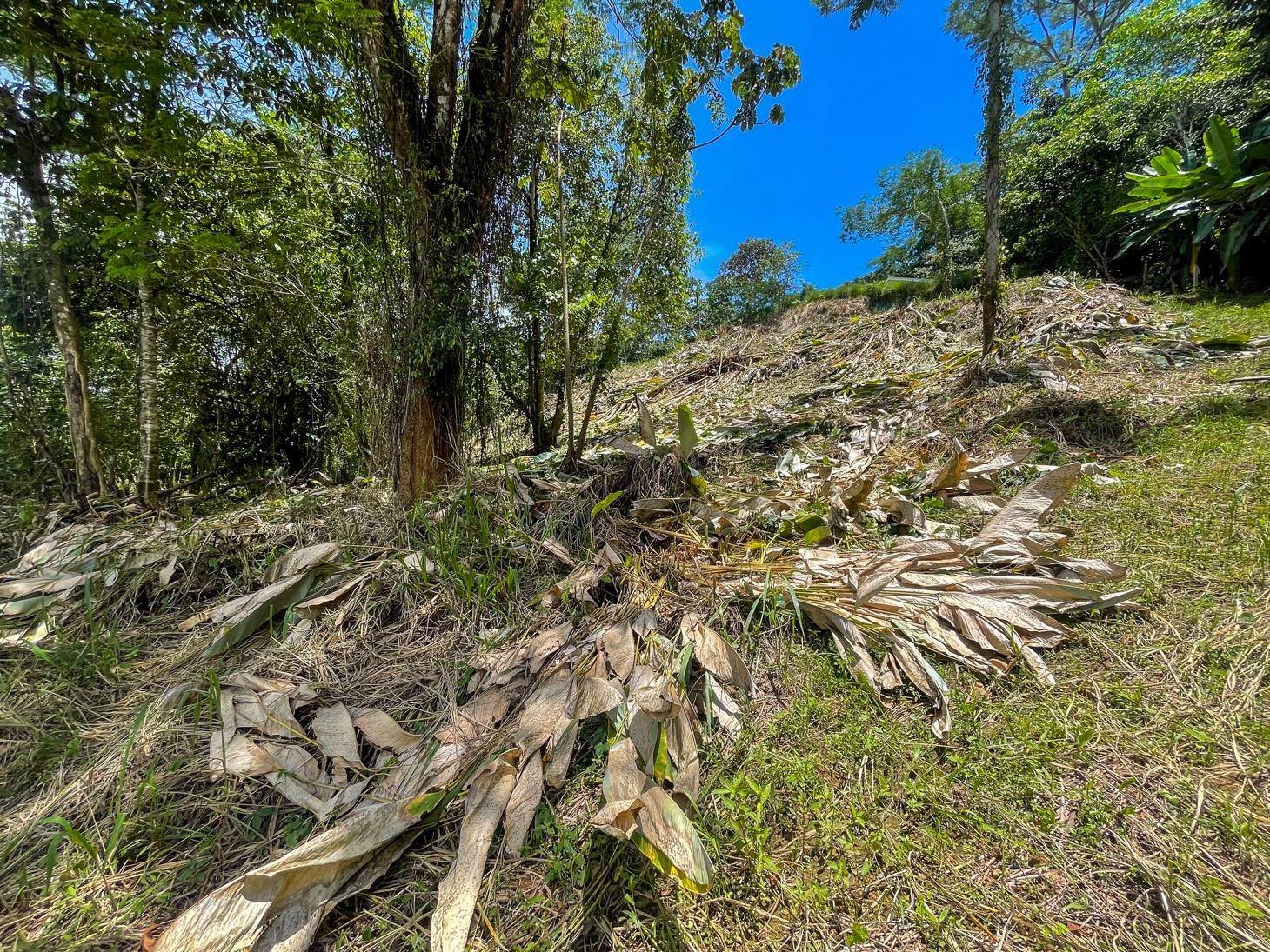 Your Private Mountain Sanctuary Awaits selected