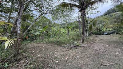 Jungle Lot with 3+ Building Sites, Legal Water, Electricity on Public Road with Big Valley & Mountain Views near San Josecito Costa Rica image 2