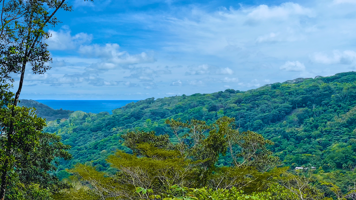 2 Bedroom Jungle Canopy Retreat with Ocean View selected