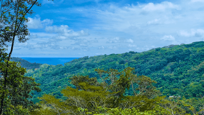 2 Bedroom Jungle Canopy Retreat with Ocean View image 4