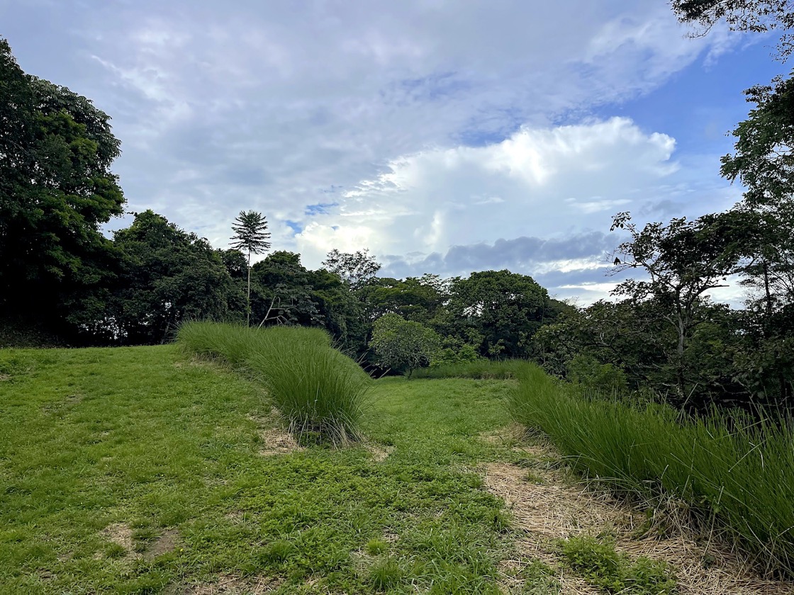 Spectacular Mountain & Ocean View Property in Cacao Ridge, Platanillo selected