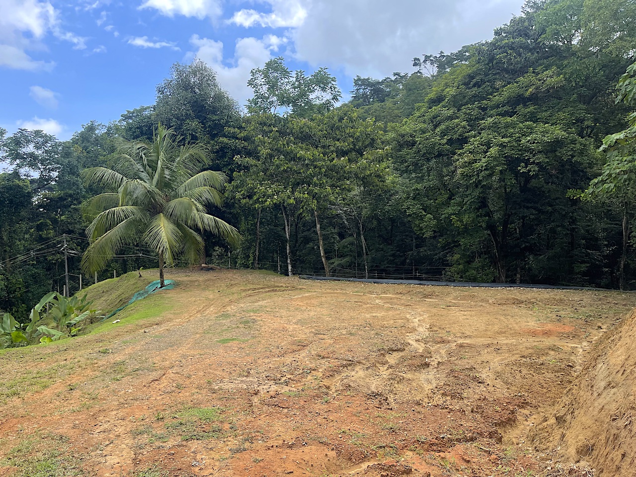 Rare 25+ Acre Opportunity in Uvita selected