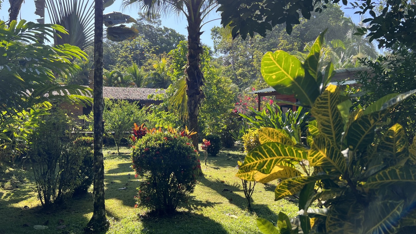 Tropical 2-Bedroom Riverfront Gem in Ojochal selected