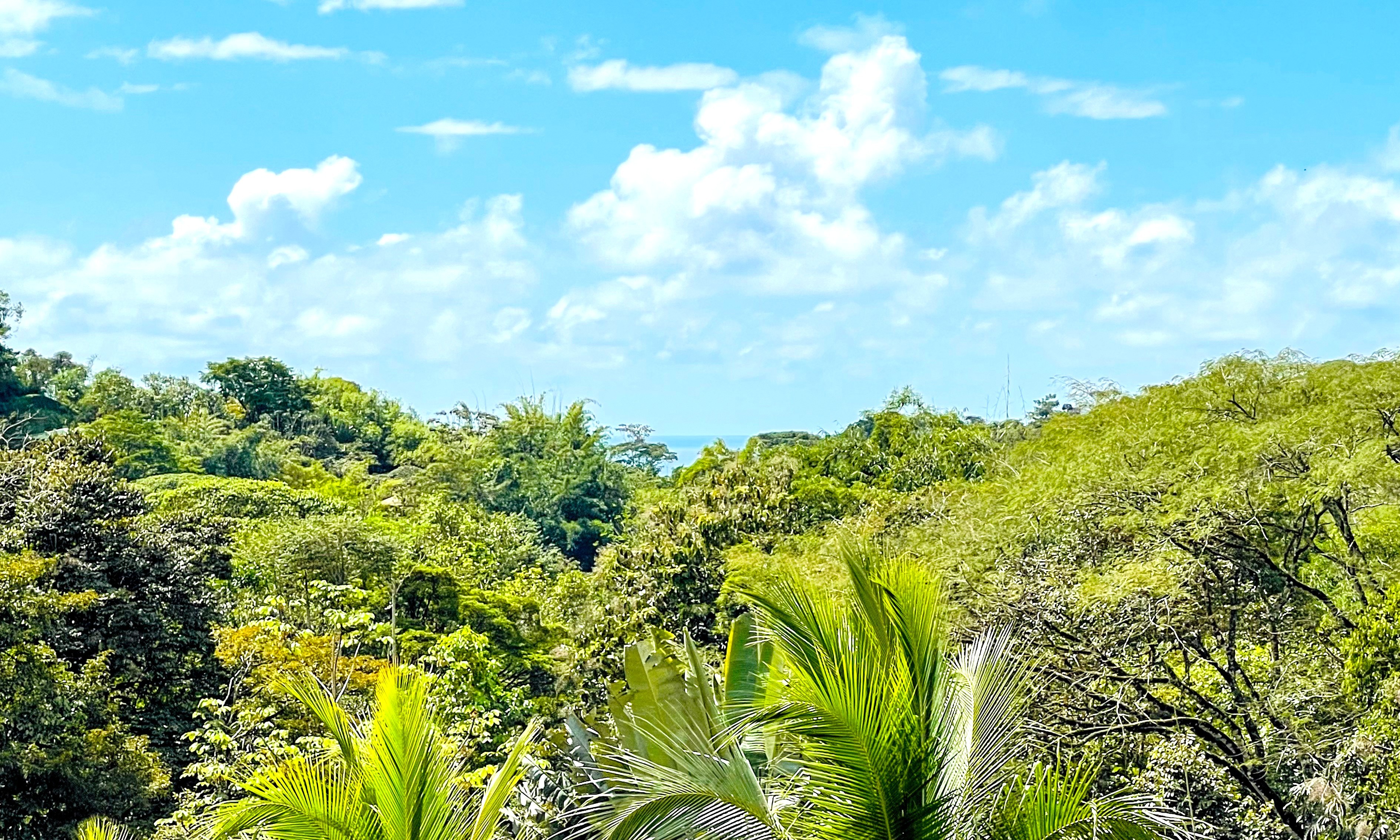 Charming 3 Bedroom Home with Lush Garden Acreage and Pocket Ocean View selected