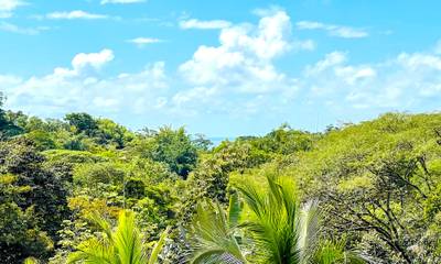 Charming 3 Bedroom Home with Lush Garden Acreage and Pocket Ocean View image 5