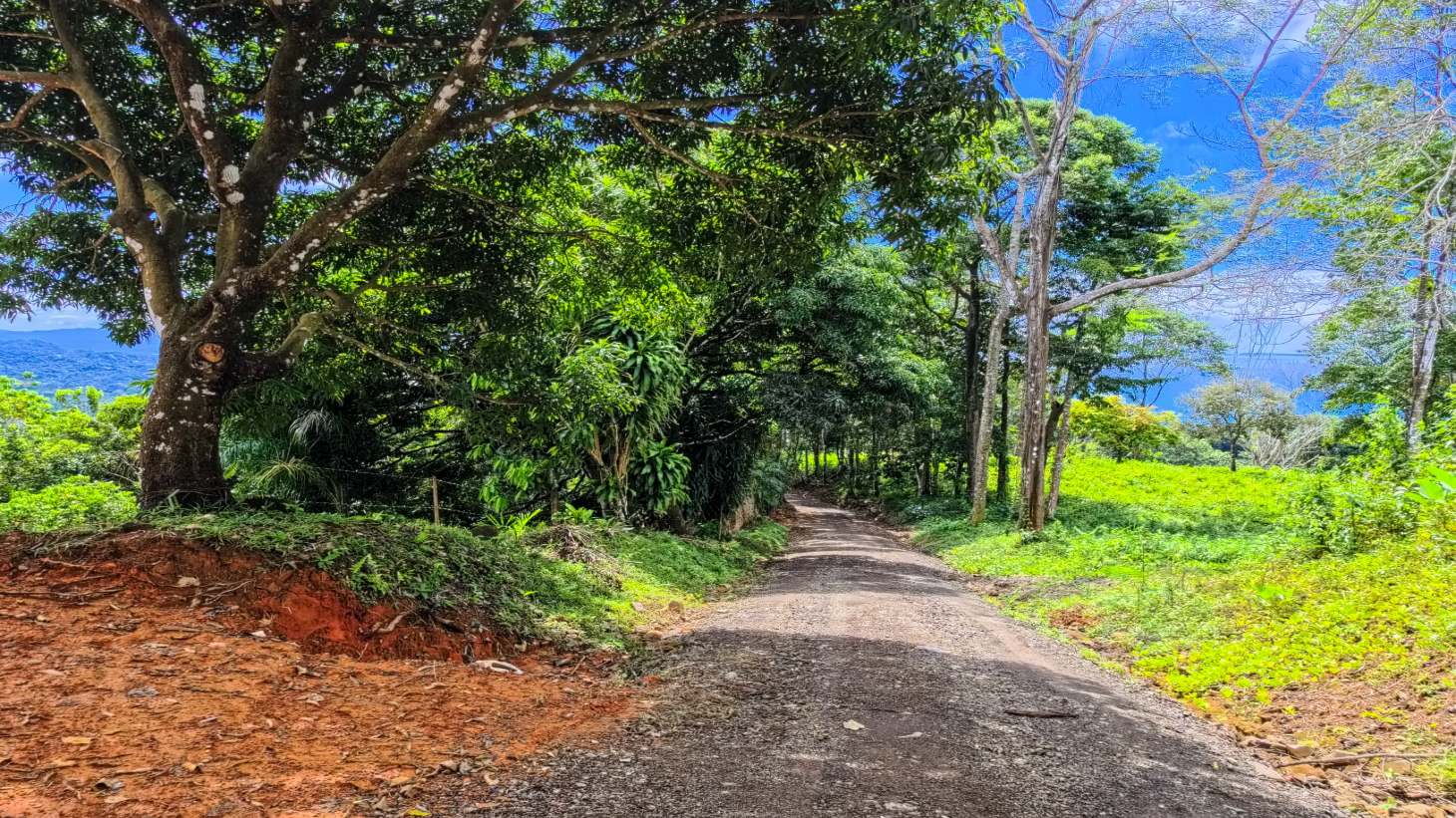 Expansive Ocean View Lot for Sale in Cinco Ventanas, Ojochal selected