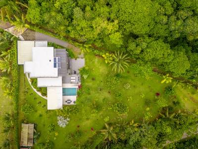 Exceptional Modern 4-Bedroom Family Sanctuary on 1 Acre in Ojochal image 3