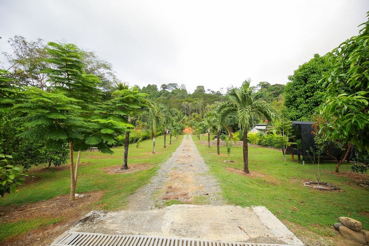 Commercial Opportunity With Restaurant, Home and Plenty Of Building Areas selected