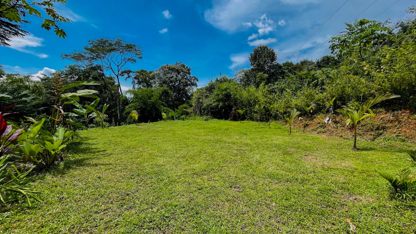Tropical Retreat in Ojochal with Ocean Views, Private Waterfall & Expansion Potential selected