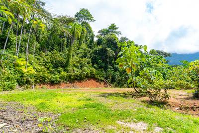 Secluded 2.9 Acre Jungle Lot with Mountain Views in San Buenas image 3